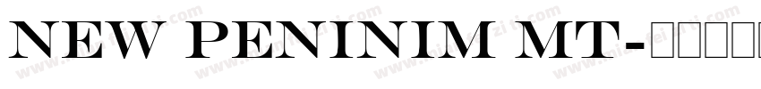 New Peninim MT字体转换